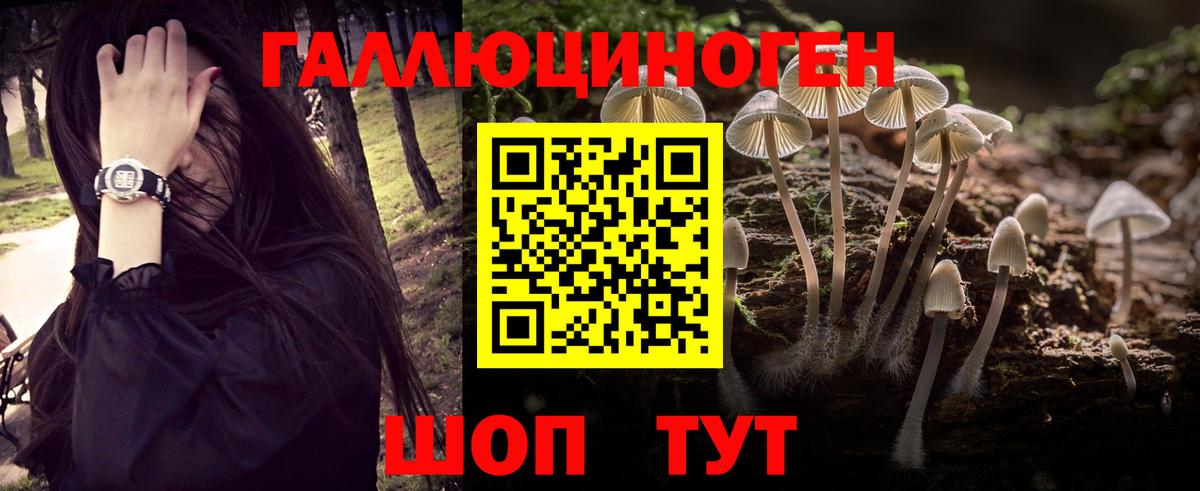 Галлюциногенные грибы MAGIC MUSHROOMS Ирбит